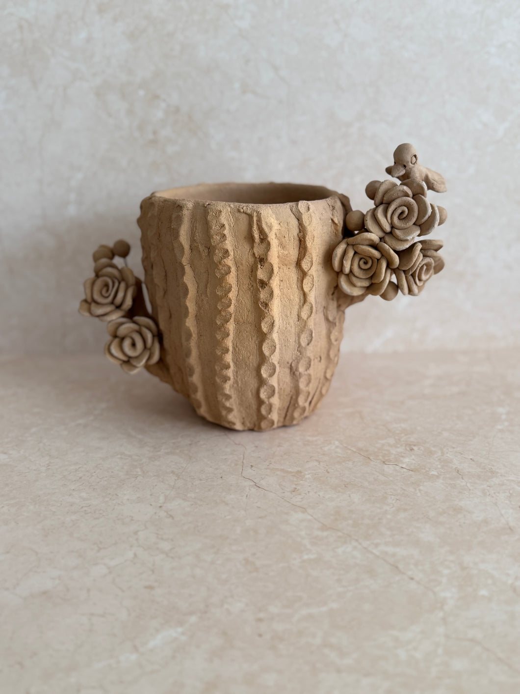 Cactus pot 01
